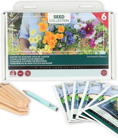 Collection 6 makkelijke bloemen - afbeelding 1