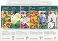 Collection 6 makkelijke bloemen - afbeelding 2