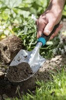 Comfort bloemenschepje - afbeelding 2