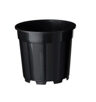 Container afwatering 3.1l zwart sp3