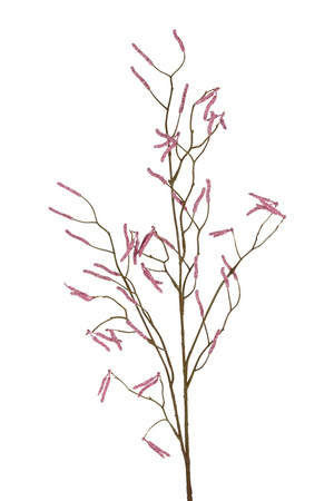 Corylussteel l90cm roze
