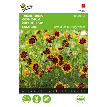 Cosmidium brunette 0.5g - afbeelding 1