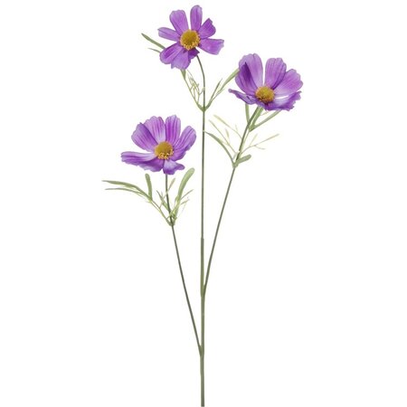 Cosmos 3tak l45cm cerise