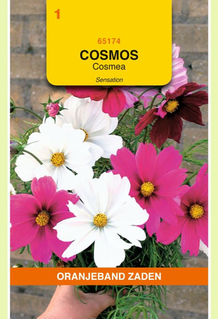 Cosmos bipinatus sensation mix 1g - afbeelding 1