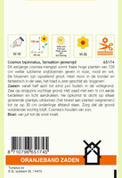 Cosmos bipinatus sensation mix 1g - afbeelding 2