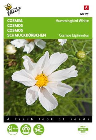 Cosmos hummingbird white - afbeelding 1
