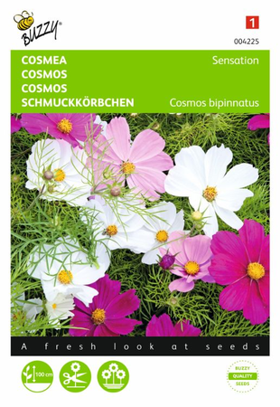 Cosmos sensation mix 1gram - afbeelding 1