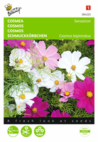 Cosmos sensation mix 1gram