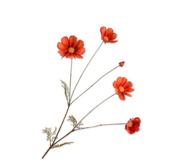 Cosmostak l92cm oranje