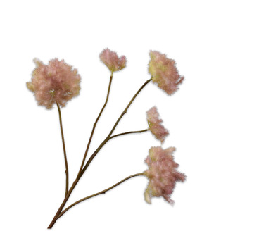 Cotinustak l80cm mauve