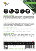 Courgette black beauty 5g - afbeelding 2