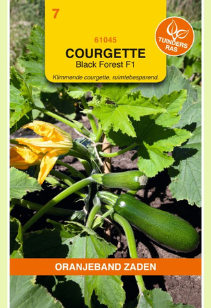 Courgette black forest 8zdn - afbeelding 1