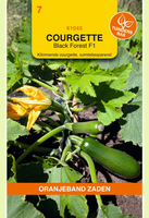 Courgette black forest 8zdn