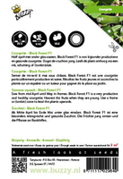 Courgette black forest f1 6zdn - afbeelding 2