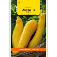 Courgette goldena 2g