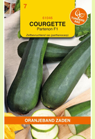 Courgette partenon f1 hybride 7zd