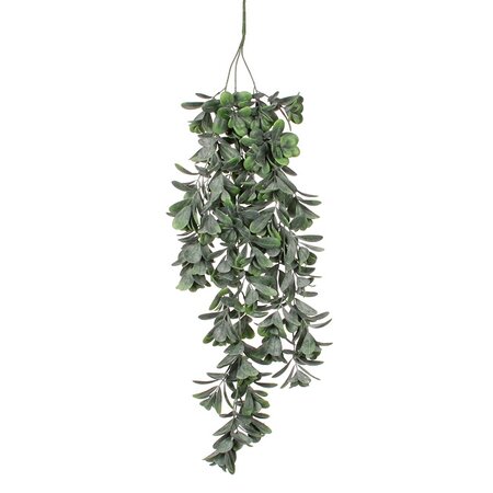 Crassula hang l79cm groen (Zijde-plant)