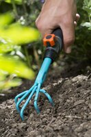 Cs klauwtje - afbeelding 2