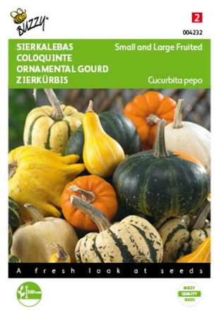 Cucurbita sierkalebas klein 2gram - afbeelding 1
