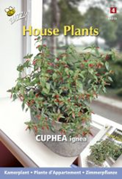 Cuphea luciferplantje 0.1g - afbeelding 3