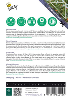 Cuphea luciferplantje 0.1g - afbeelding 2