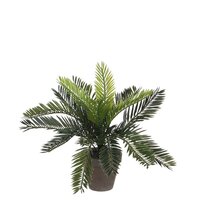 Cycas palm in pot d34h33cm groen (Zijde-plant)