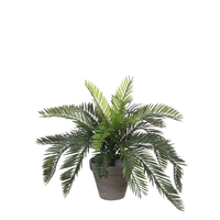 Cycas palm in pot d44h37cm groen (Zijde-plant)