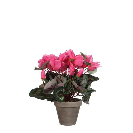 Cyclaam d30h30cm l.roze (Zijde-plant)
