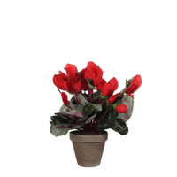 Cyclaam d30h30cm rood (Zijde-plant)
