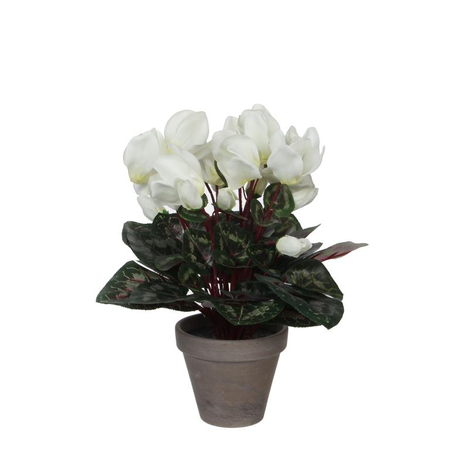 Cyclaam d30h30cm wit (Zijde-plant)