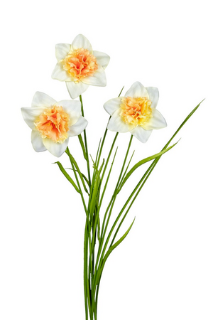 Daffodil/grassteel l70cm geel