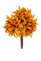 Dahlia bundel h25cm oranje