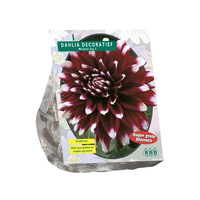 Dahlia deco mistery day 1st - afbeelding 2