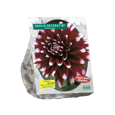 Dahlia deco mistery day 1st - afbeelding 1