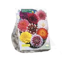 Dahlia deco mix 3st - afbeelding 2