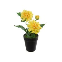 Dahlia in pot h26cmgeel (Zijde-plant)