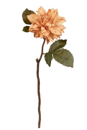 Dahliasteel l40cm bruin