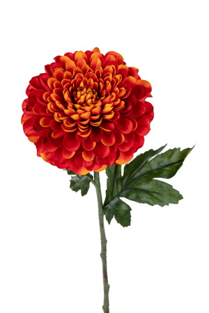 Dahliasteel l56cm oranje