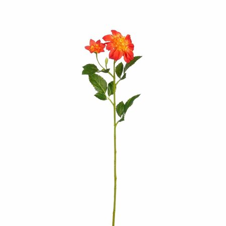 Dahliasteel l59b10h15cm oranje