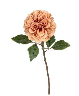 Dahliasteel l59m bruin