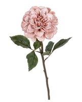 Dahliasteel l59m oud roze