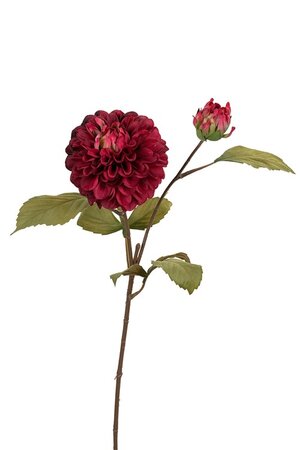 Dahliasteel l60cm burgundy