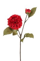 Dahliasteel l60cm oranje