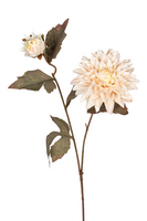 Dahliasteel l65cm creme