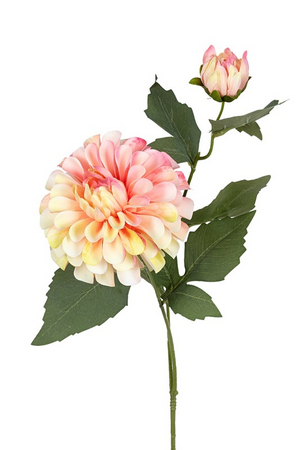 Dahliasteel l66cm zalm