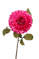 Dahliasteel l74cm donker roze