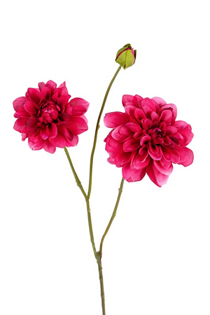 Dahliasteel l80cm cerise