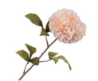 Dahliasteel l83cm zalm