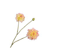 Dahliasteel l85cm groen/roze