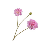Dahliasteel l85cm lila - afbeelding 2